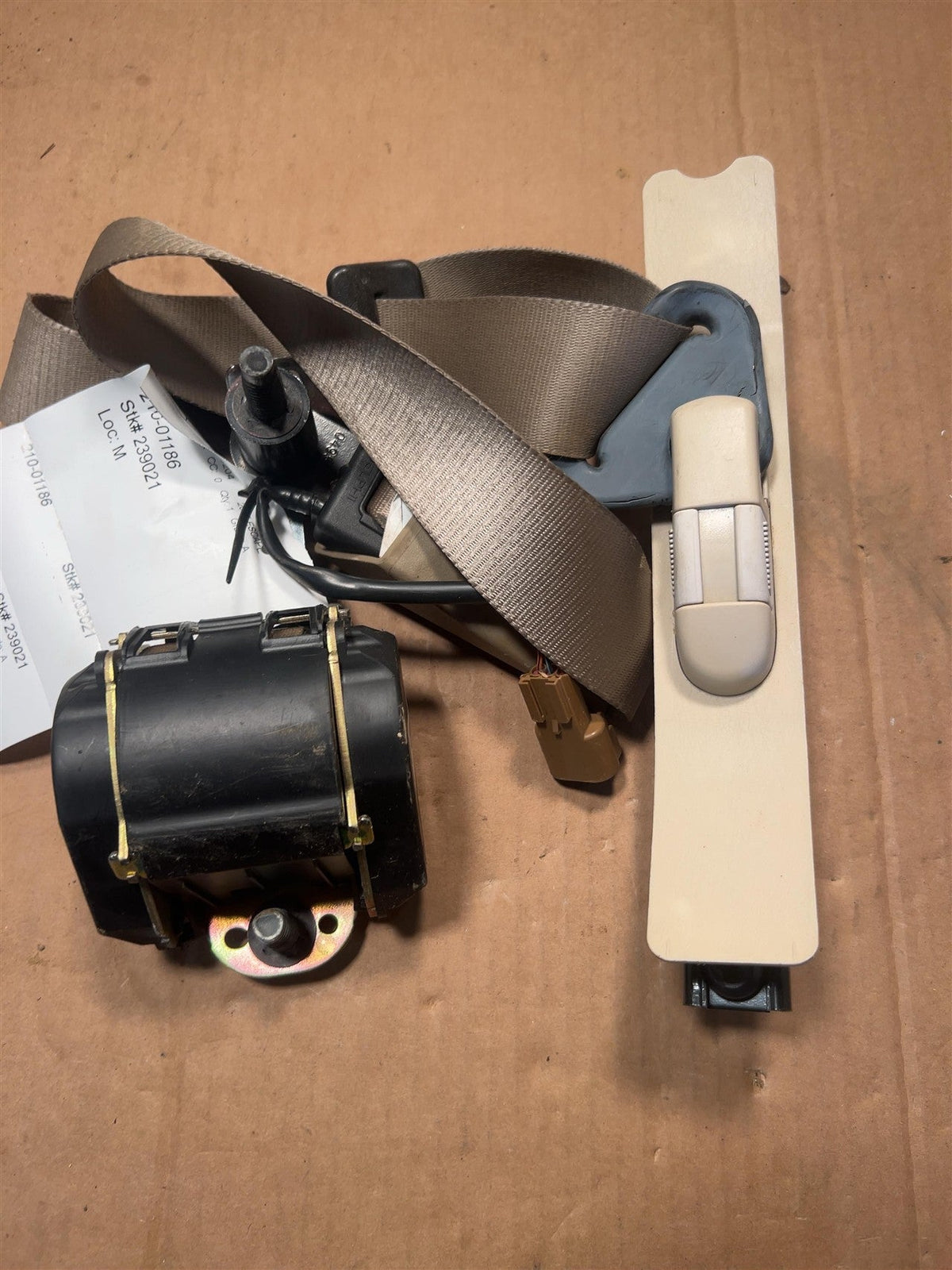 Seat Belt from a 2005 Ford Escape, front, photo 1