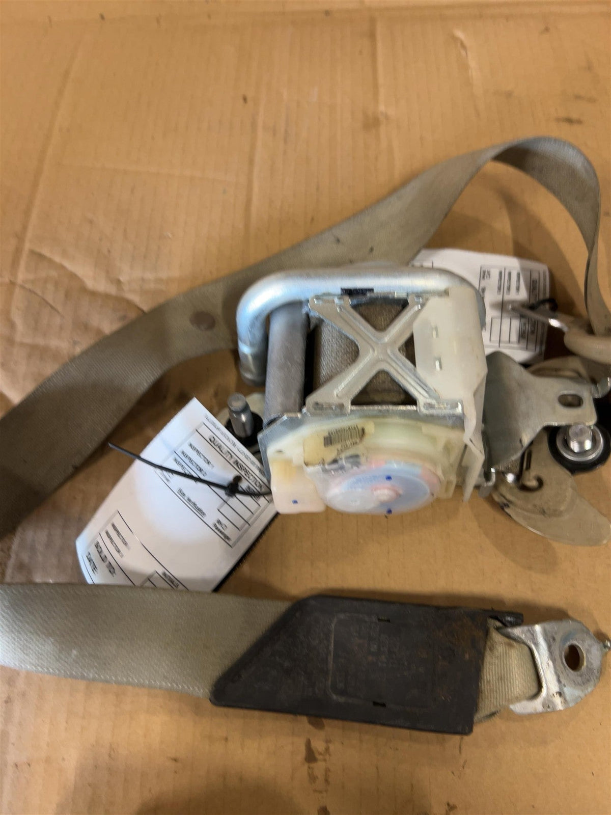 Seat Belt from a 2017 Honda Accord, front, right side, photo 2