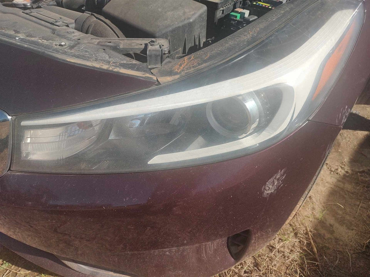 Headlight Assembly from a 2017 Kia Forte, left side, photo 1