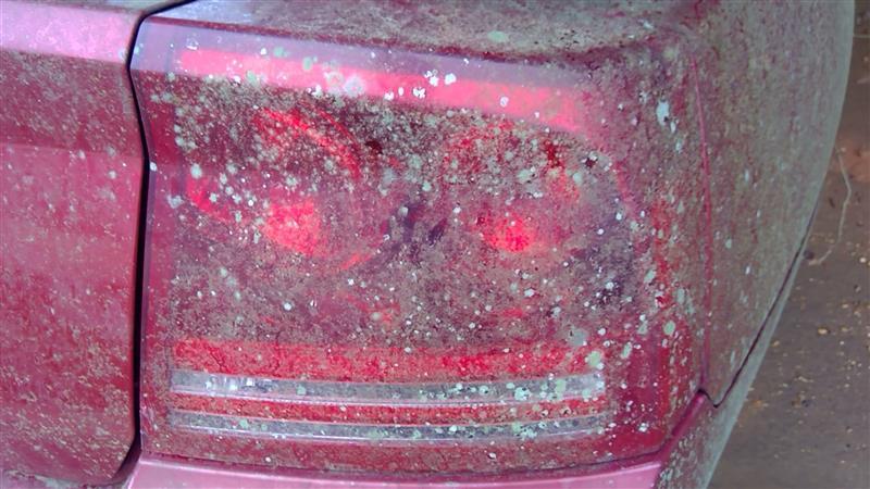 Tail Light from a 2007 Dodge, right side, photo 1