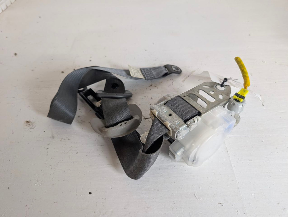 Seat Belt from a 2010 Toyota Tundra, front, photo 1