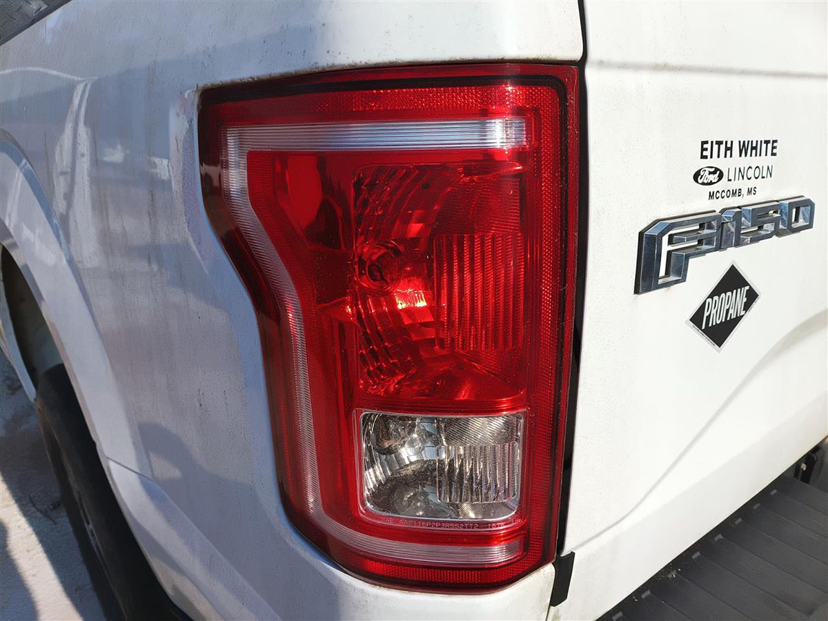 Tail Light from a 2017 Ford F-150, left side, photo 1