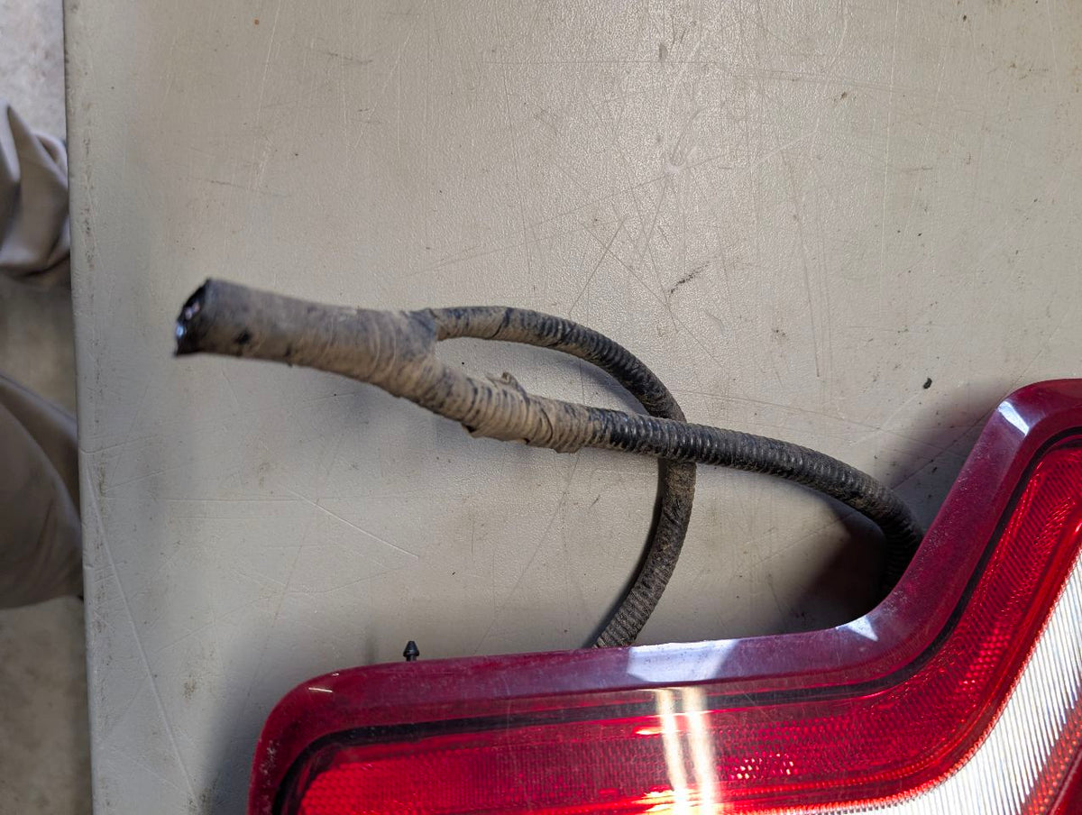 Tail Light from a 2017 Ford F-150, left side, photo 5